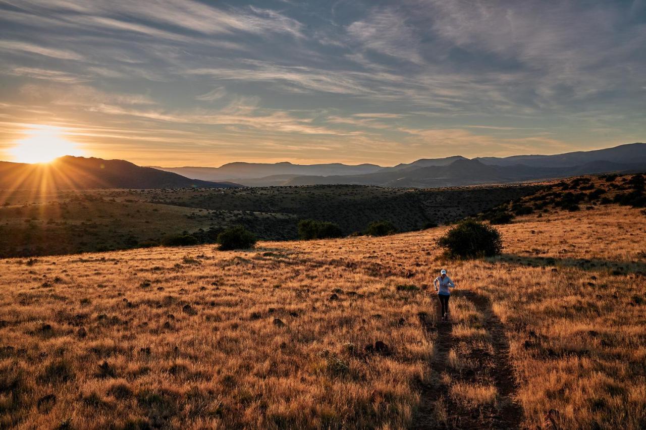 Glen Harry Game Reserve Graaff-Reinet Buitenkant foto