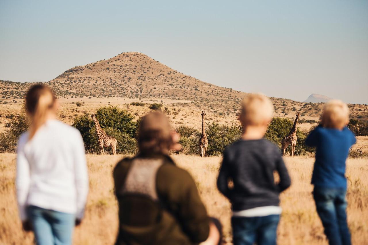 Glen Harry Game Reserve Graaff-Reinet Buitenkant foto