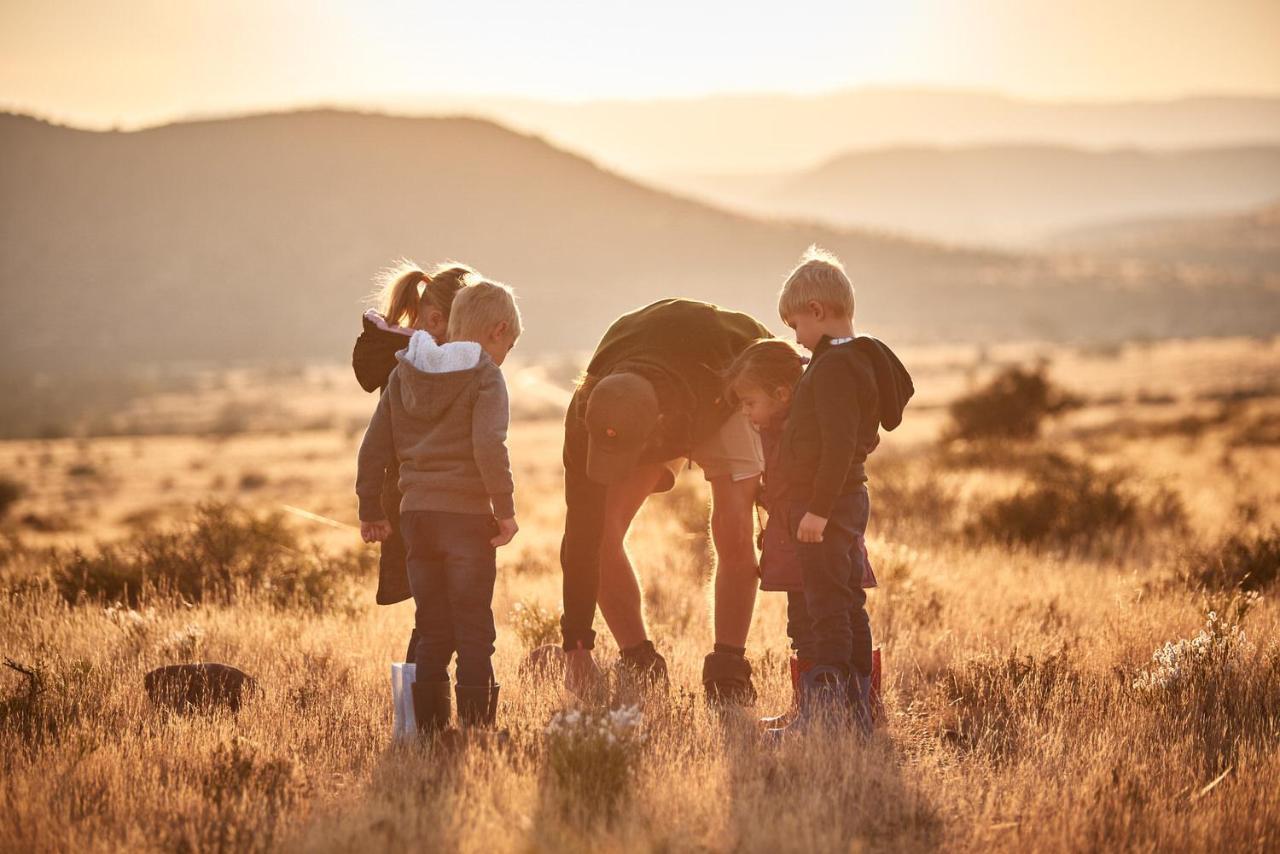 Glen Harry Game Reserve Graaff-Reinet Buitenkant foto