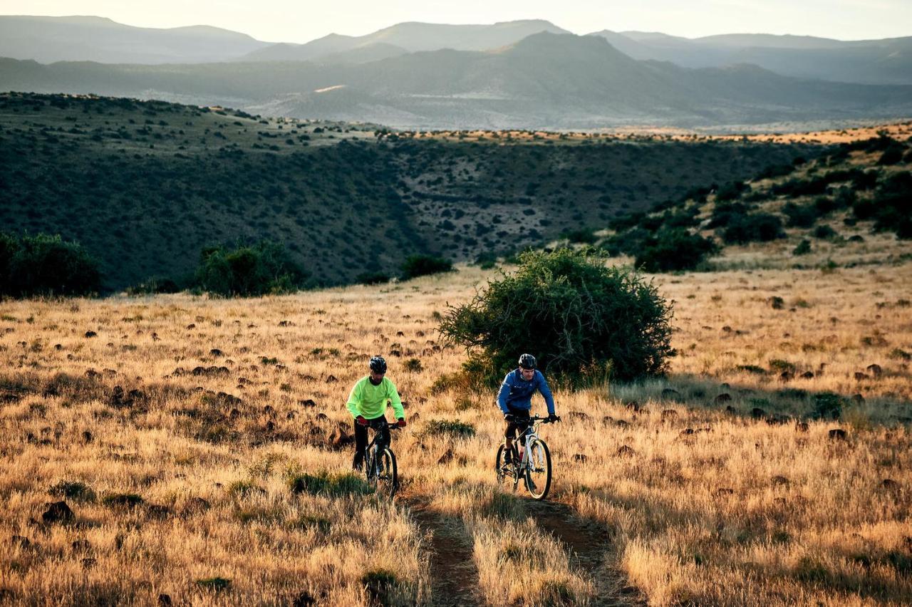Glen Harry Game Reserve Graaff-Reinet Buitenkant foto