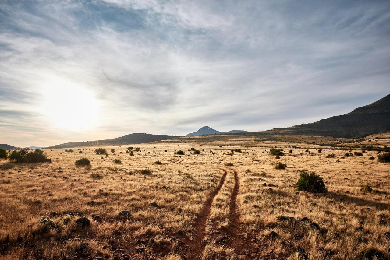 Glen Harry Game Reserve Graaff-Reinet Buitenkant foto