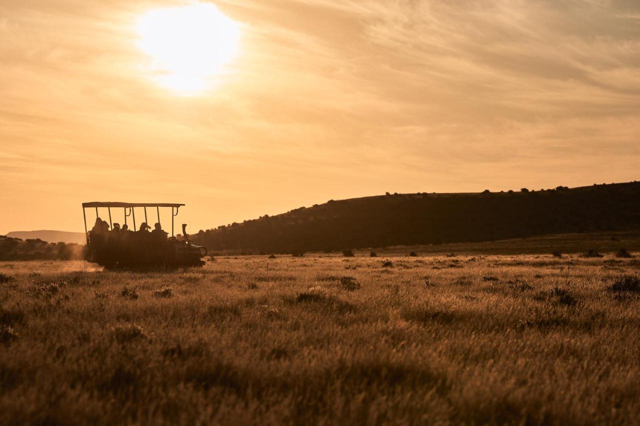 Glen Harry Game Reserve Graaff-Reinet Buitenkant foto